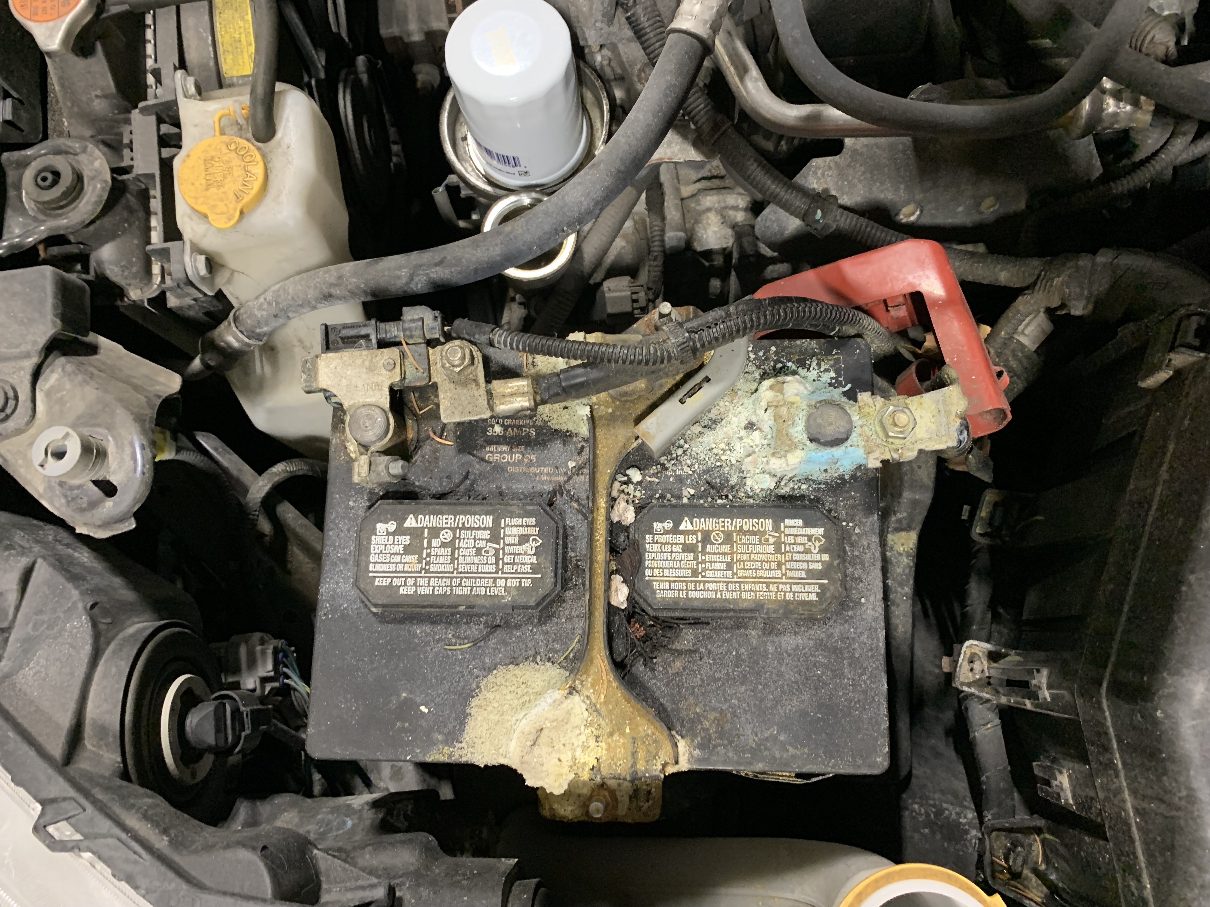 Corroded Car Battery | Lou's Car Care Center, Inc.